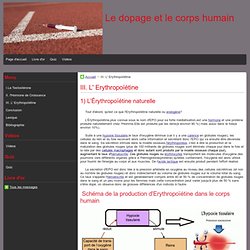 III. L' Erythropoïétine - Le dopage et le corps humain