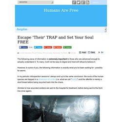 Escape 'Their' TRAP and Set Your Soul FREE