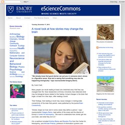 eScienceCommons: A novel look at how stories may change the brain
