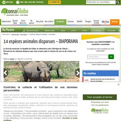 14 espèces animales disparues - DIAPO