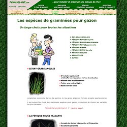 Les espèces de graminées pour gazon : un large choix pour toutes les situations et tous les types de pelouse