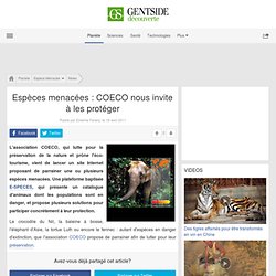 Espèces menacées : COECO nous invite à les protéger