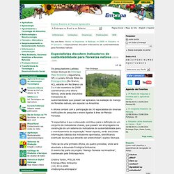 Especialistas discutem indicadores de sustentabilidade para florestas nativas — Embrapa