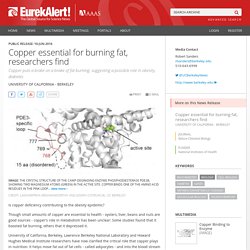 Copper essential for burning fat, researchers find