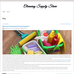 What Are the Essential Cleaning Supplies?