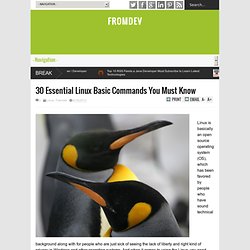 30 Essential Linux Basic Commands You Must Know