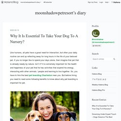 Why It Is Essential To Take Your Dog To A Nursery? - moonshadowpetresort’s diary