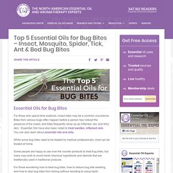 Top 5 Essential Oils for Bug Bites - Mosquito, Spider, Tick & Ant
