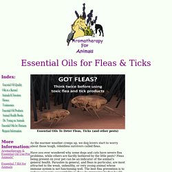 Essential Oils as Flea repellents