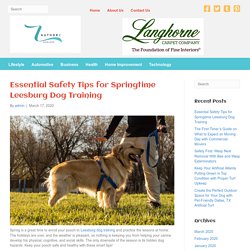 Essential Safety Tips for Springtime Leesburg Dog Training