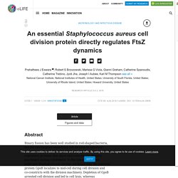 ELIFESCIENCES 02/10/18 An essential Staphylococcus aureus cell division protein directly regulates FtsZ dynamics
