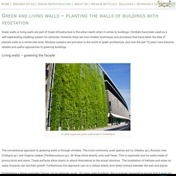 Green walls are essentially a living cladding system