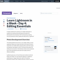 Learn Lightroom in a Week – Day 4: Editing Essentials