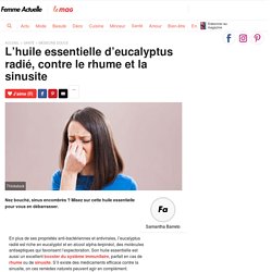 L’huile essentielle d’eucalyptus radié, contre le rhume et la sinusite