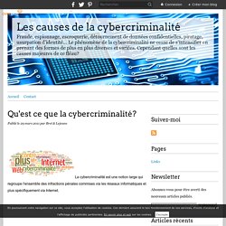Qu'est ce que la cybercriminalité? - Les causes de la cybercriminalité