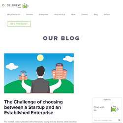 The Challenge of choosing between a Startup and an Established Enterprise