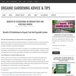 Two Leading Advantages of Organic Veggie Gardening
