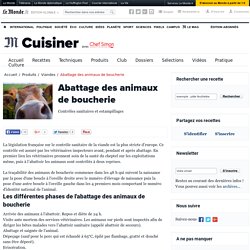 Abattage et estampillage des animaux de boucherie - Technologie culinaire