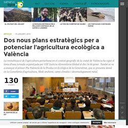 Dos nous plans estratègics per a potenciar l’agricultura ecològica a València