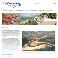 estuaire