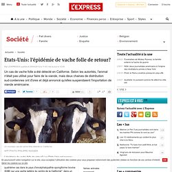 Etats-Unis: l'épidémie de vache folle de retour?