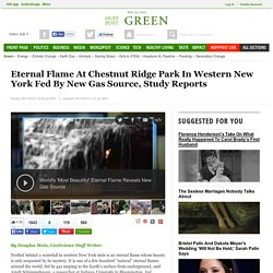 Eternal Flame At Chestnut Ridge Park In Western New York Fed By New Gas Source, Study Reports