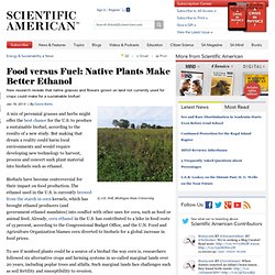 Food versus Fuel: Native Plants Make Better Ethanol