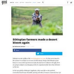 Ethiopian farmers made a desert bloom again