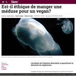 Est-il éthique de manger une méduse pour un vegan?