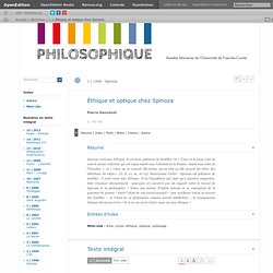 Éthique et optique chez Spinoza