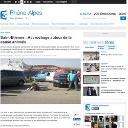 St Etienne : Accrochage autour de la cause animale