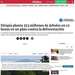 Etiopía planta 353 millones de árboles en 12 horas en un plan contra la deforestación