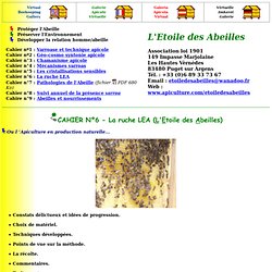 L'Etoile des Abeiles - Cahier n°6 - La ruche LEA