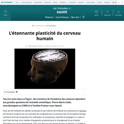 L'étonnante plasticité du cerveau humain