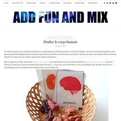 Étudier le corps humain - Add fun and mix