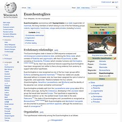 Euarchontoglires