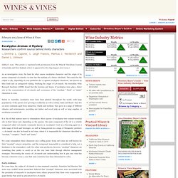 Eucalyptus Aromas: A Mystery - Wines & Vines - Wine Industry Feature Articles