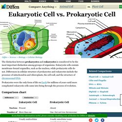 Eukaryotic Cell vs Prokaryotic Cell