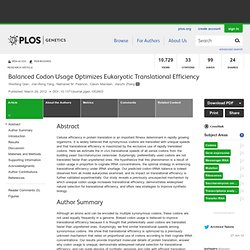 Balanced Codon Usage Optimizes Eukaryotic Translational Efficiency