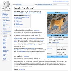 Eurasier (Hunderasse)