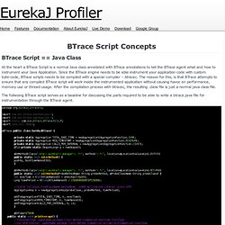 EurekaJ Profiler - BTrace Script Concepts