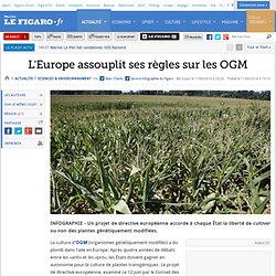 L'Europe assouplit ses règles sur les OGM