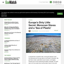 Europe's Dirty Little Secret: Moroccan Slaves and a 'Sea of Plastic' - EcoWatch