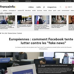 Européennes : comment Facebook tente de lutter contre les "fake news"
