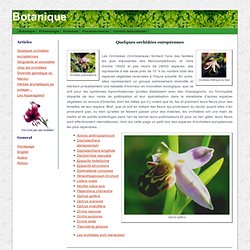 Orchidées européennes: revue de quelques especes les plus fréquentes...
