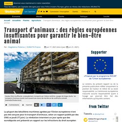EURACTIV 17/06/21 Transport d’animaux : des règles européennes insuffisantes pour garantir le bien-être animal