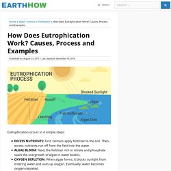 How Does Eutrophication Work? Causes, Process and Examples - Earth How