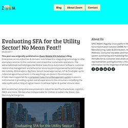 Evaluating SFA for the Utility Sector! No Mean Feat!! - Zoom : Mobile Sales Force Automation Solutions