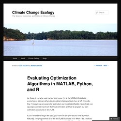 Evaluating Optimization Algorithms in MATLAB, Python, and R