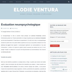 Évaluation neuropsychologique – Elodie Ventura